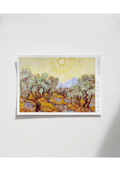 Çerçevesiz Poster Vincent Van Gogh Zeytin Ağaçları
