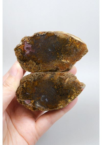 Süslü Altın Oker Ve Bronz Tüy Siyah Deniz Akik Taşı İle Yumuşak Pembe Surlar