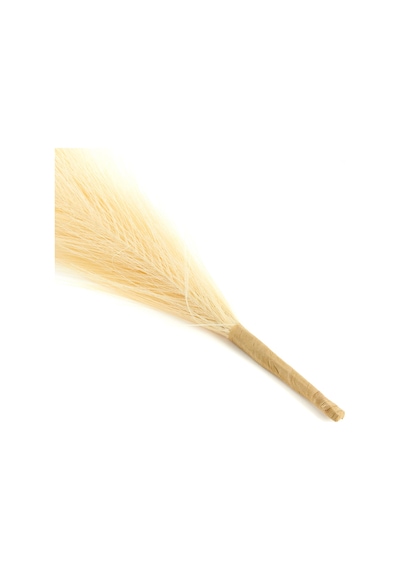 Dekoratif Tüy - Krem - 44 Cm Çok Renkli