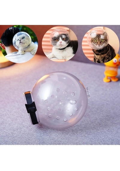 Kedi Bakım Küresi Yalama Ve Isırma Için Muhteşem Çözüm