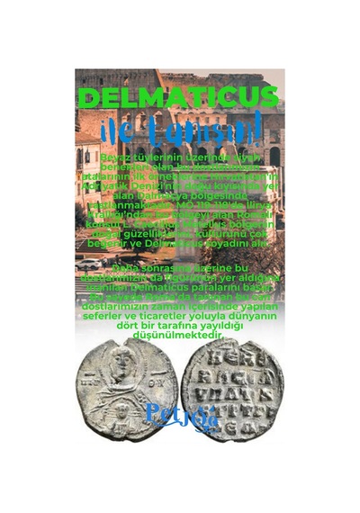 Petjoo 28.Delmaticus Mavi-Yeşil Qr'lı Köpek Künyesi