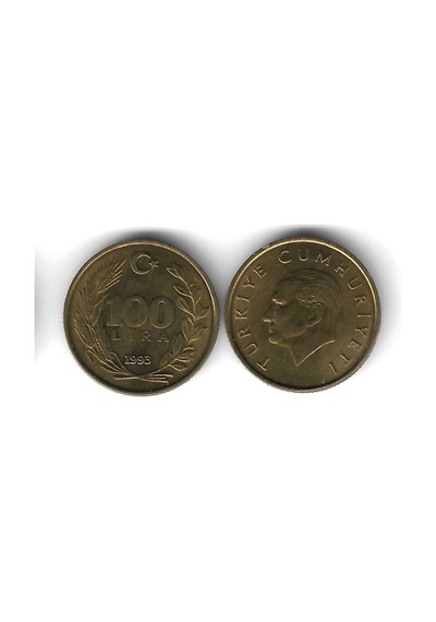 1993 Yılı Tedavül Pirinç 100 Lira Çil