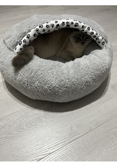 Coddry Pet Simit Mağara Yatak Kedi Küçük Irk Köpek Yatağı Gri