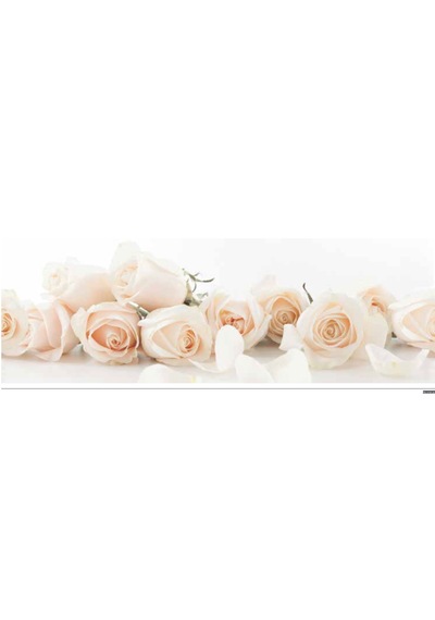Rosas 6'lı Digital Set
