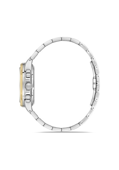 Quartz Çelik Altın/gri Siyah Kadran 41 Mmm Fonksiyonları Aktif Erkek Kol Saati Altın/gri Gri