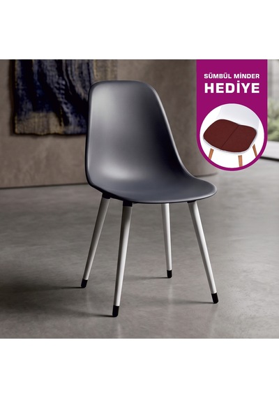 Vilinze Eames Beyaz Ahşap Ayak Plastik Füme Sandalye Eames-beyaz Füme - Beyaz