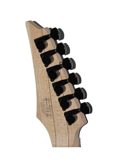 Ibanez Rga220z-cyb Rga Serisi Elektro Gitar Kutulu