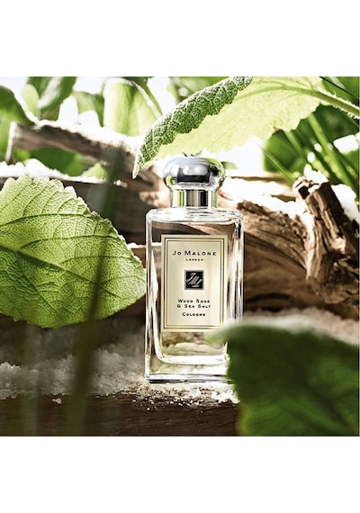 Wood Sage & Sea Salt S.edition Edp 100ml Diğer
