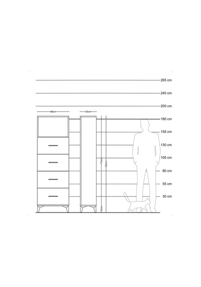 Arges Dolap 2 Raflı 4 Çekmeceli 88x30x182 Antrasit-antrasit Antrasit