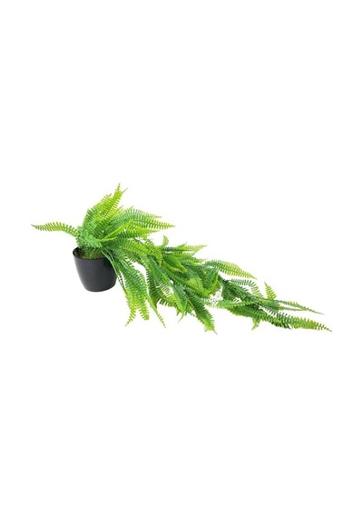 Yapay Çiçek Siyah Saksıda Sarkan Çiçek Boston Fern
