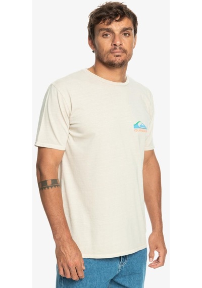 Quiksilver Eqyzt07252-wdw0 Pastimeparadise M Tees Erkek T-shirt 001