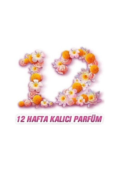 Parfumia Zarif Orkide Konsantre Yumuşatıcı 4'lü Seti 1440 Ml. Diğer