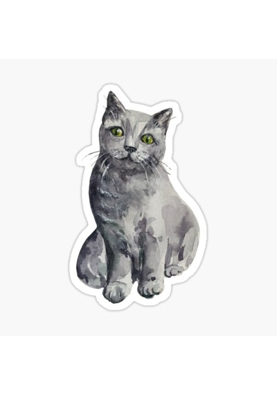 Ufak Bebek Kedi Araba Oto Sticker Etiket Renkli E5