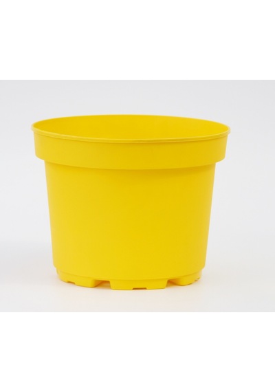 Sarı Limon Saksısı 10 Adet ( 1.5 Litre )