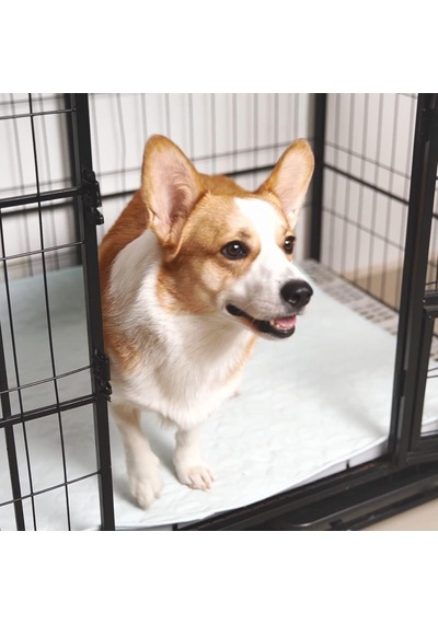 Tr Köpekler İçin Yıkanabilir Pee Pedleri, 2'li Paket Yeniden Kullanılabilir Köpek Pedleri Su Geçirmez Pet Whelping