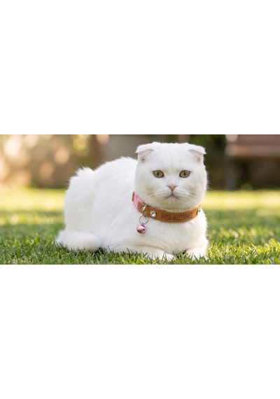 Jadda El Yapimi Deri Kedi Tasmasi Zilli Deri Kolay Açilan Klips Tokali Pembe