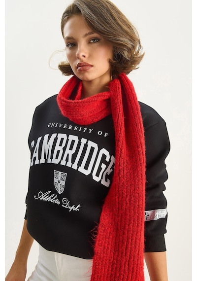 Shade Kadın Bisiklet Yaka Baskılı Üç İplik Şardonlu Basic Sweatshirt 6067 60283619 - Siyah