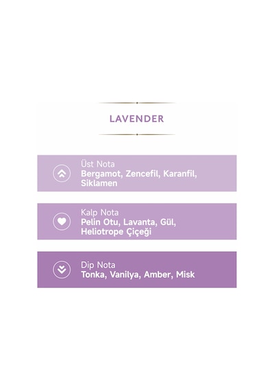 Mad 80 Derece Lavender Kolonya 200 ML