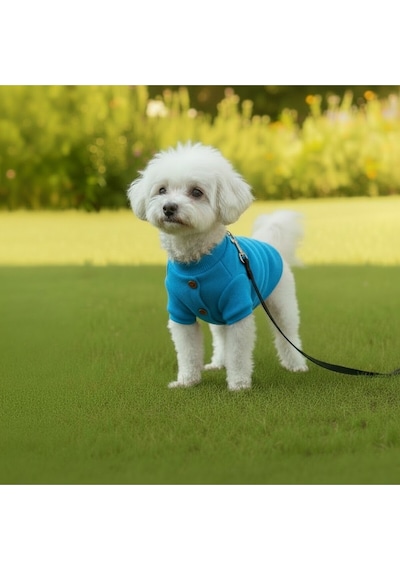 Kedi - Köpek Kaşkorse Esnek Mevsimlik Ceket - Mont - Yağmurluk - Yelek - Kıyafet
