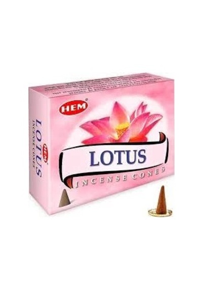 Hem Lotus Konik Tütsü 10 Lu