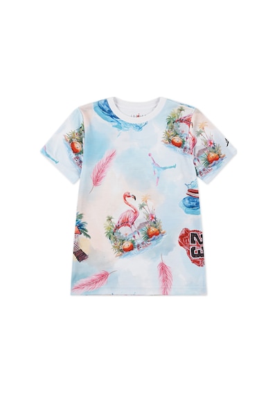 Nike Nıke Jordan Jdb Jordan Flamıngo Aop Ss Tee Erkek Çocuk Tişört 95d844 001 001 Çok Renkli