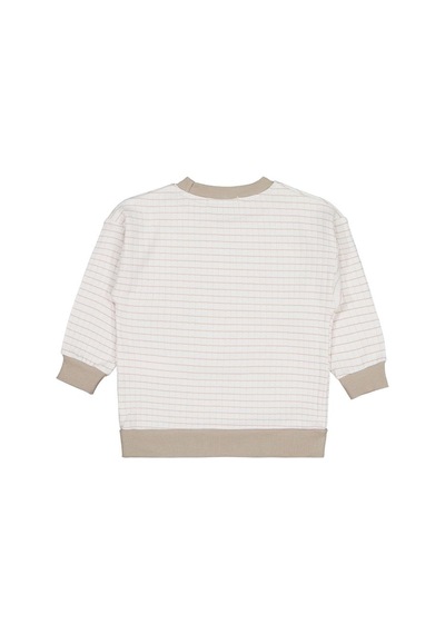 Civil Boys Aslan Nakışlı 2-5 Yaş Sweatshirt - Bej Vizon