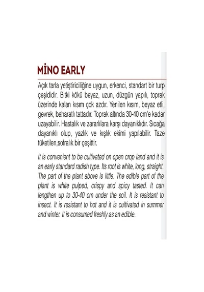Agrodal Tarım Doğal Beyaz Uzun Turp Mino Early 500 Adet Tohum Sku: Smgstkde44c872b5 Açık Gri