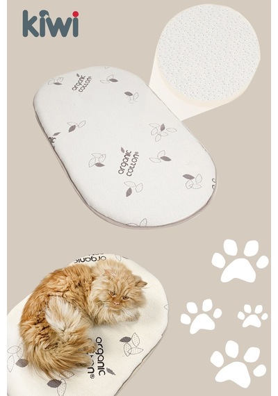 Kiwi Yüksek Dansiteli Organik Pamuk Dokulu Kedi & Köpek Yatağı, Minderi, Matı 70x50 Cm