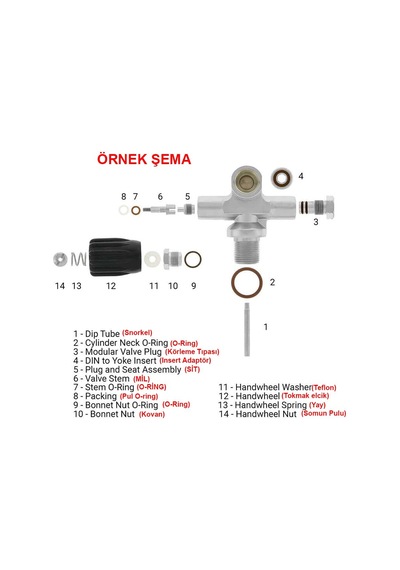 Kraken Tüp Vana Siti Seat (Seyrek Diş) Bronz