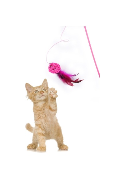 Pembe Toplu Tüylü Kedi Oyun Oltası 46 CM