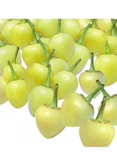 Arzuman Turşuluk Misket Biber Tohumu 5 Gr