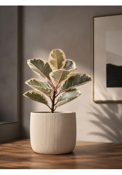 Beyaz Renkli Modern Çizgili Saksı, 12x15 Cm Ölçülerinde İç Mekan Dekorasyonu İçin İdeal