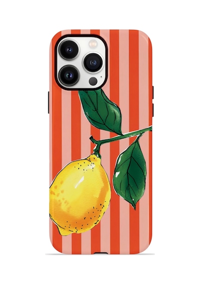 iPhone Uyumlu13 Pro Max Valestra Çift Katmanlı Magsafe Kılıf Valnora