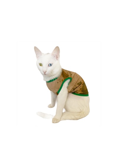 Kemique Camouflage Radar Atlet By Kedi Kıyafeti