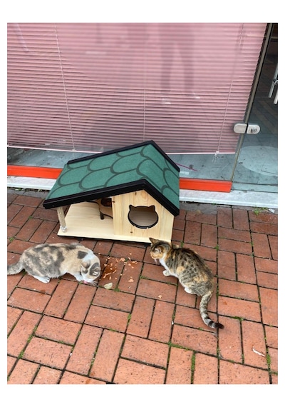 Reyo Narım Ahşap Mama Standlı Tırmalama Tahtalı Özel Tasarım Kedi Barınağı, Kedi Barınağı 74x45 Cm