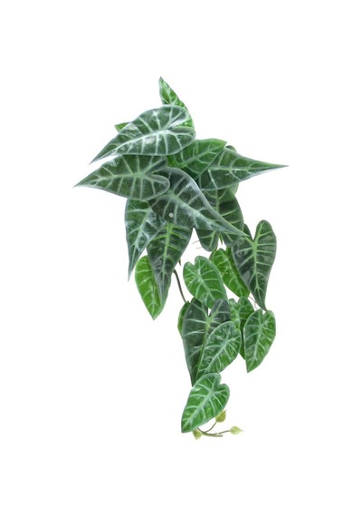 Yapay Caladium Sarmaşık Demeti 55 cm