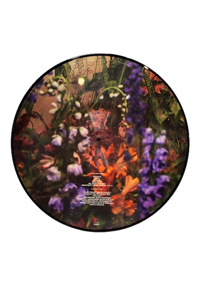 Little Mix - Between Us (Picture Disc - Perrie Edi tion) (2 Plak)