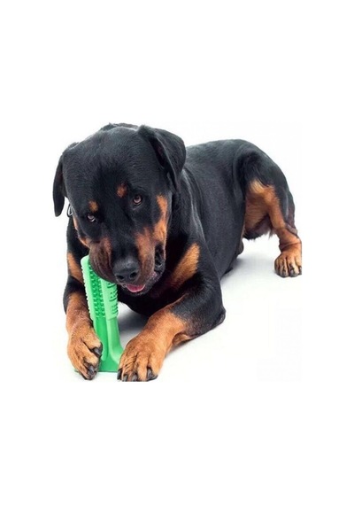 Köpek Diş Fırçası Isırma Diş Temizleme Çubuk Oyuncağı Pet Oyuncak N11.998