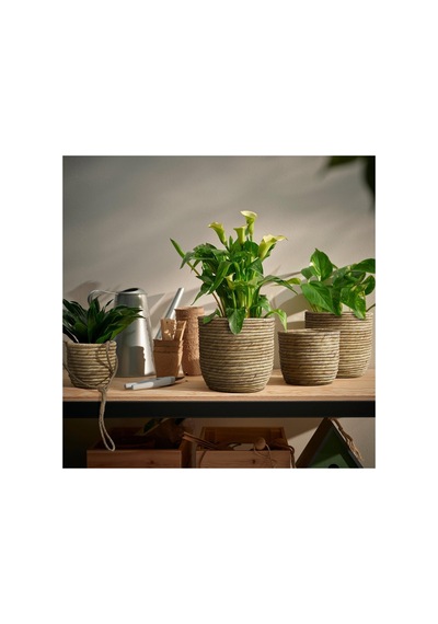 Ikea Sandödla Rattan Saksı 19 Cm Naturel