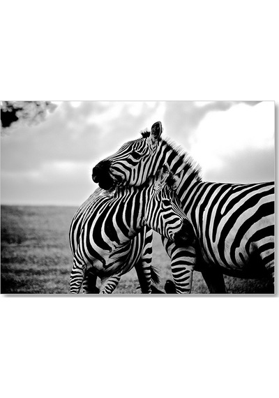 Cakasepetim Anne Zebra Ve Yavrusu Siyah Beyaz Ahşap Mdf Tablo