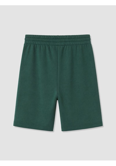 LC Waikiki Lc Waıkıkı Yeşil Regular Fit Erkek Pijama Alt Şort