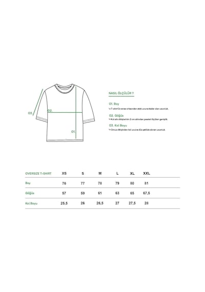 Brz Collection Unisex Oversize Light Fury Ejderhanı Nasıl Eğitirsin T-shirt Siyah