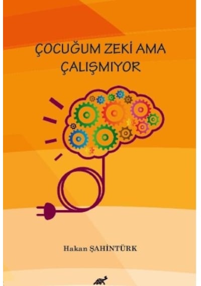 Çocuğum Zeki Ama Çalışmıyor - Hakan Şahintürk - Paradigma Akademi Yayınları