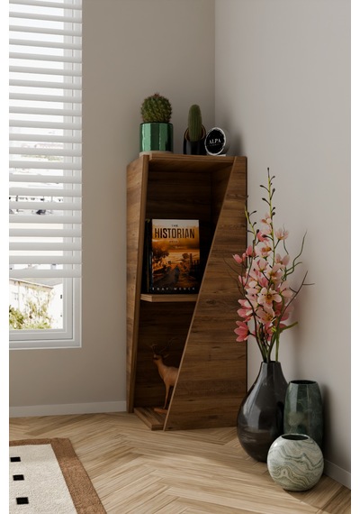 Modern Çok Amaçlı 90 Cm 2 Raflı Köşe Kitaplık Dekoratif Salon Rafı Çok Amaçlı Düzenleyici Organizer Atlantik Çam Modern Çok Amaçlı 90 Cm 2 Raflı Köşe Kitaplık Dekoratif Salon Rafı Çok Amaçlı Düzenleyici Organizer Atlantik Çam