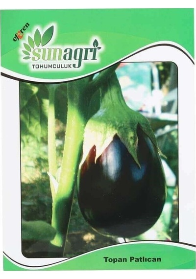 Sunagri Topan Patlıcan Tohumu