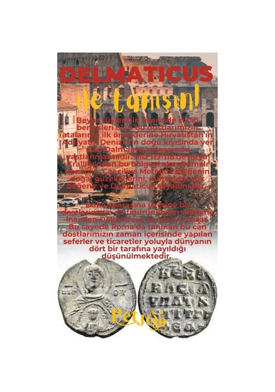 Petjoo 28.Delmaticus Sarı-Kırmızı Qr'lı Köpek Künyesi