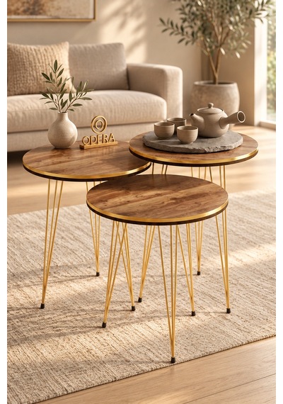 Odera Çift Ceviz Elips Orta Sehpa Ve Yuvarlak Zigon Sehpa 4'lü Set Metal Tel Ayaklı Modern Retro Salon Sehpası Diğer