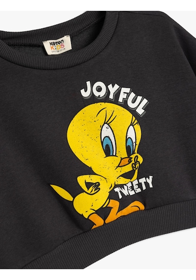 Koton Crop Sweatshirt Tweety Baskılı Lisanslı Şardonlu Uzun Kollu Antrasit 5wkg10584ak Antrasit Koton Crop Sweatshirt Tweety Baskılı Lisanslı Şardonlu Uzun Kollu Antrasit 5wkg10584ak Antrasit