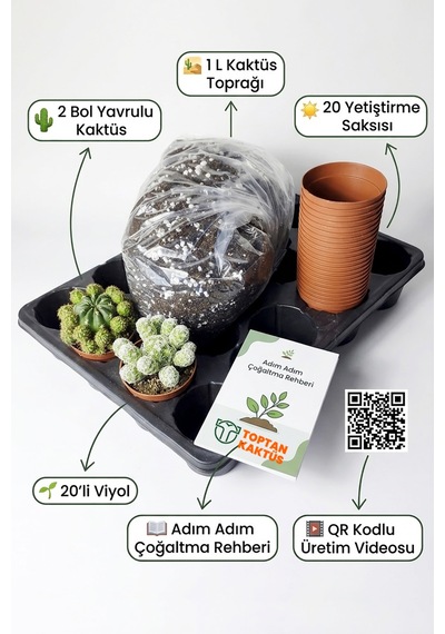 Kaktüs Çoğaltma Ve Yetiştirme Seti 2 Bol Yavrulu Kaktüs + 20 Saksı + 20 Li Viyol + 1 Litre Kaktüs