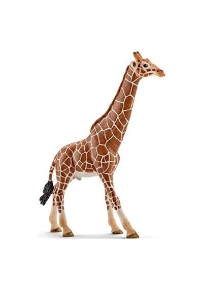 Schleich Erkek Figürü